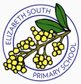 Commercial Cleaning ElizabethPrimarySchool