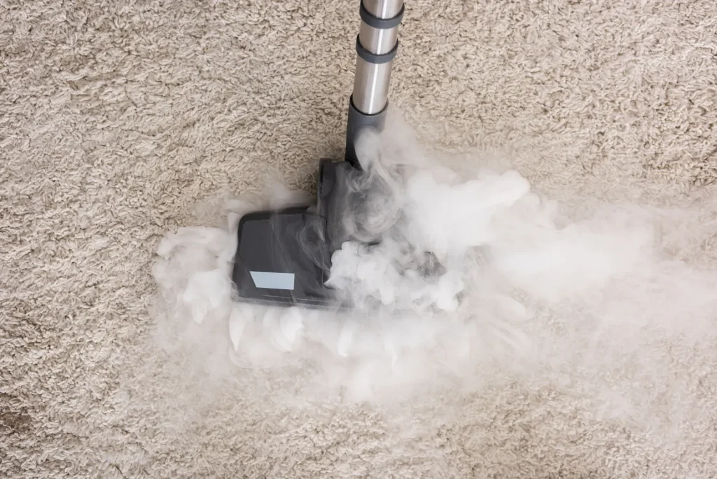 Commercial Cleaning carpet quick drying adelaide